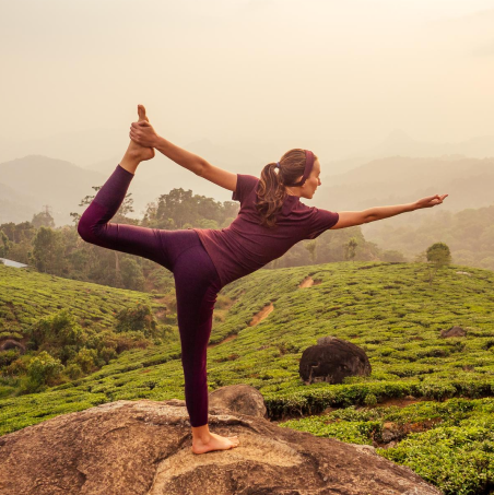 Zen Yoga Garage (Digital Marketing) 2 woman violet cloth doing yoga tea plantations munnar hill kerala india 1